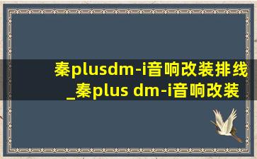 秦plusdm-i音响改装排线_秦plus dm-i音响改装低音炮